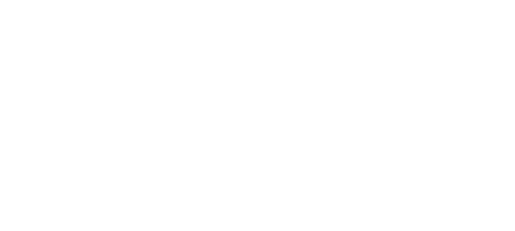 Logo AIS HUY